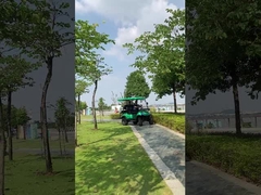 Carrinho de golfe elétrico